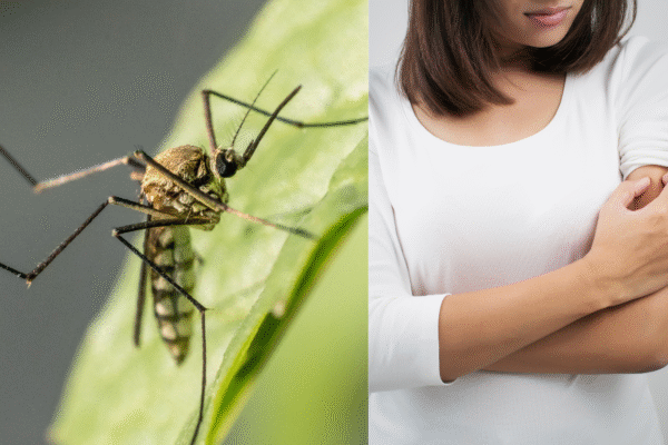 how to protect from mosqito in monsoon