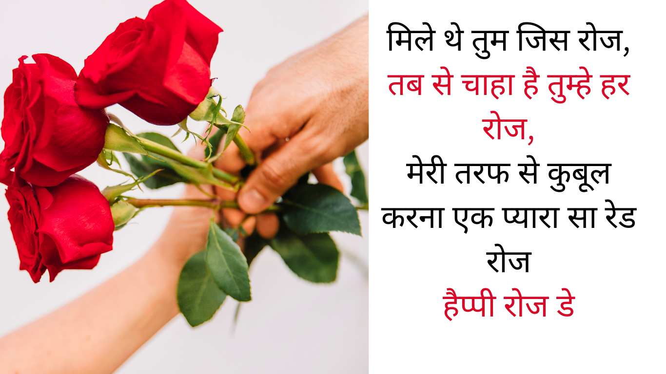happy rose day shayari for love