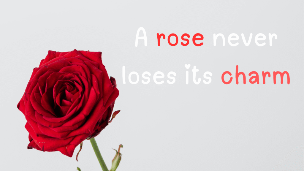 roses captions